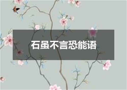 石虽不言恐能语