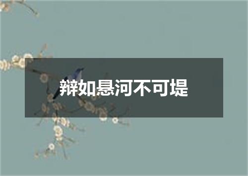 辩如悬河不可堤