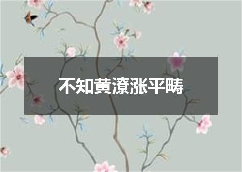 不知黄潦涨平畴