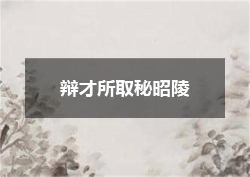 辩才所取秘昭陵