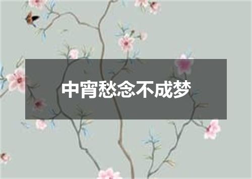 中宵愁念不成梦