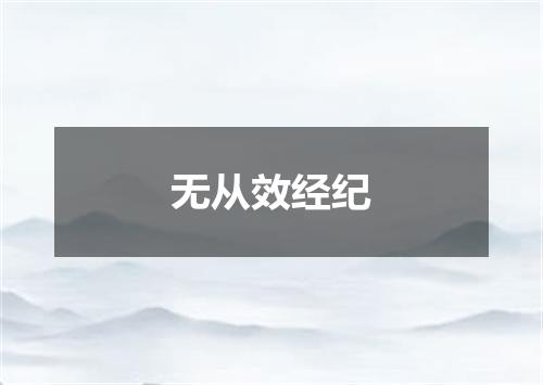 无从效经纪