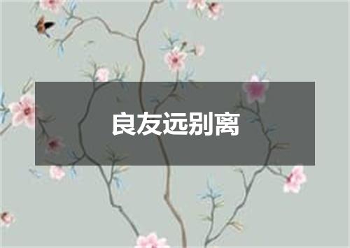 良友远别离