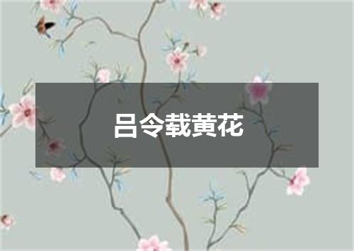 吕令载黄花