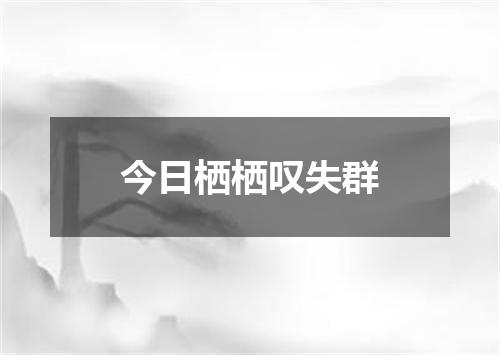 今日栖栖叹失群