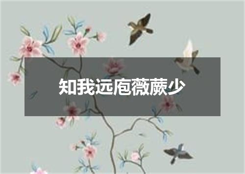 知我远庖薇蕨少