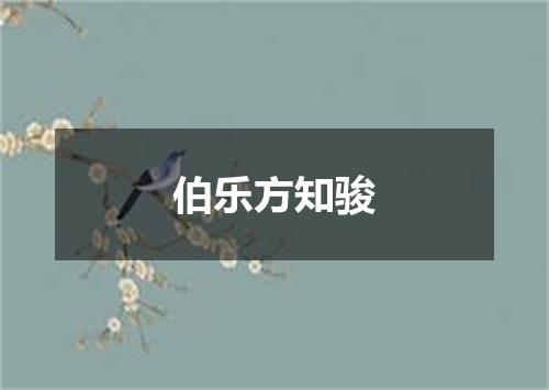 伯乐方知骏