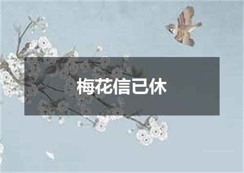 梅花信已休