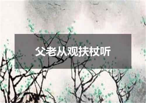 父老从观扶杖听