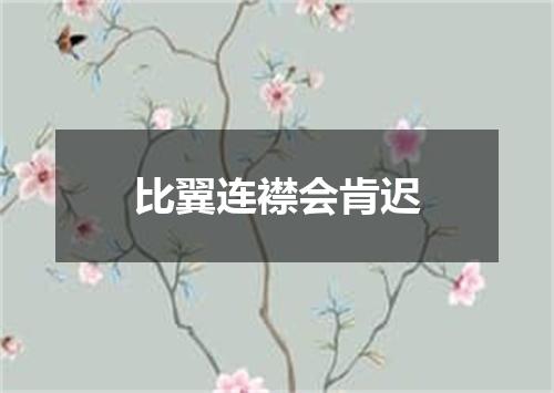 比翼连襟会肯迟