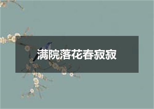 满院落花春寂寂