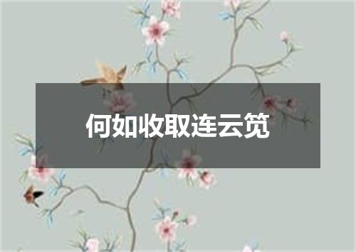 何如收取连云笕