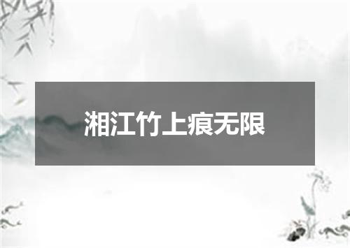 湘江竹上痕无限