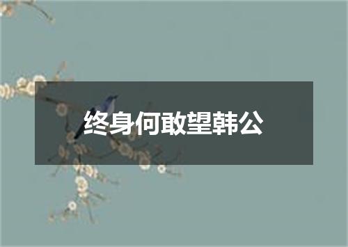 终身何敢望韩公