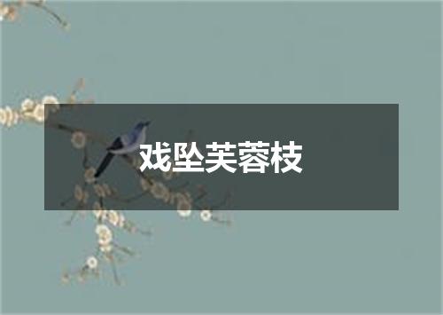 戏坠芙蓉枝