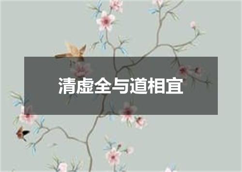 清虚全与道相宜