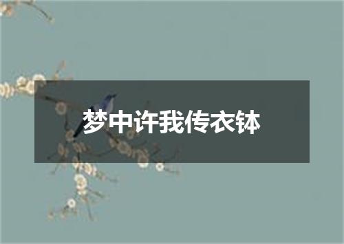 梦中许我传衣钵