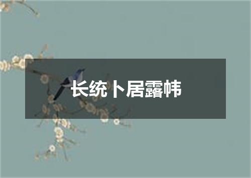 长统卜居露帏