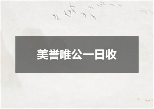 美誉唯公一日收