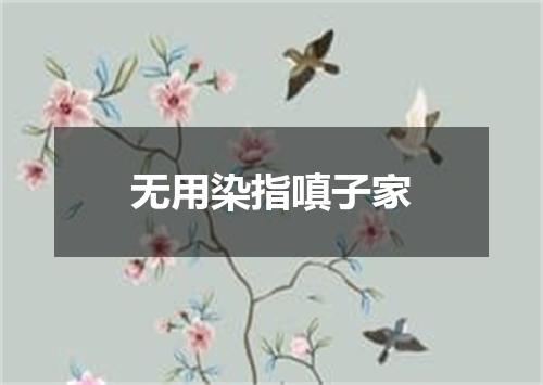 无用染指嗔子家