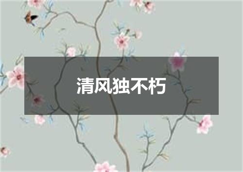 清风独不朽