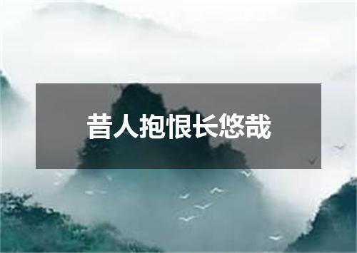 昔人抱恨长悠哉