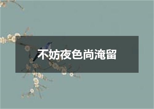 不妨夜色尚淹留