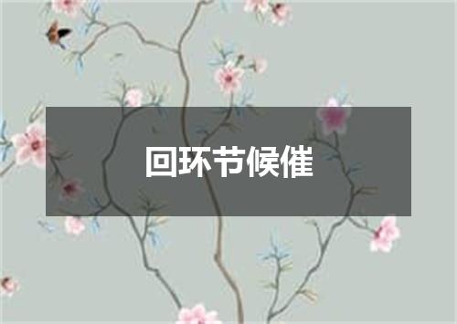 回环节候催