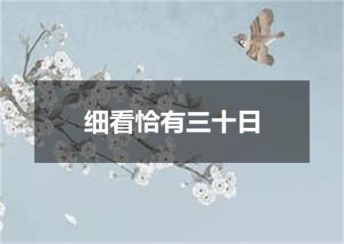 细看恰有三十日