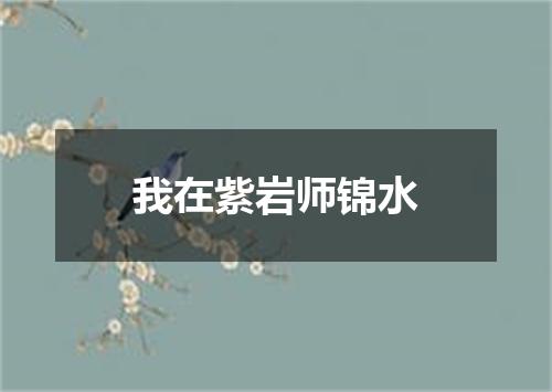 我在紫岩师锦水