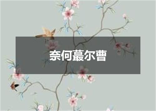 奈何蕞尔曹