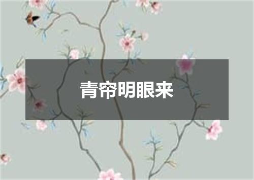 青帘明眼来