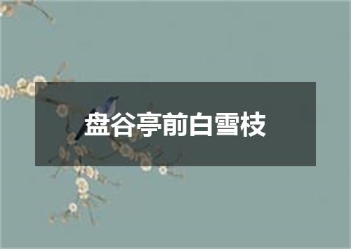 盘谷亭前白雪枝