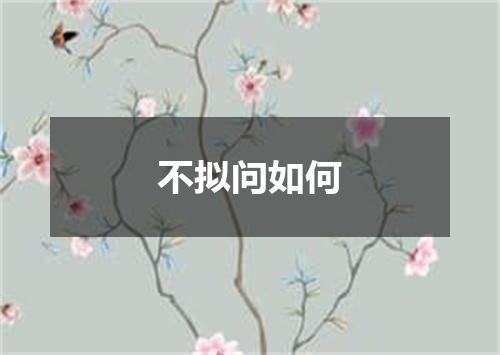 不拟问如何