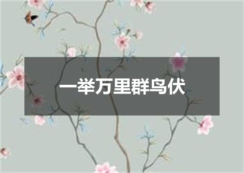 一举万里群鸟伏