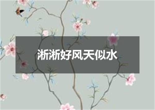 淅淅好风天似水