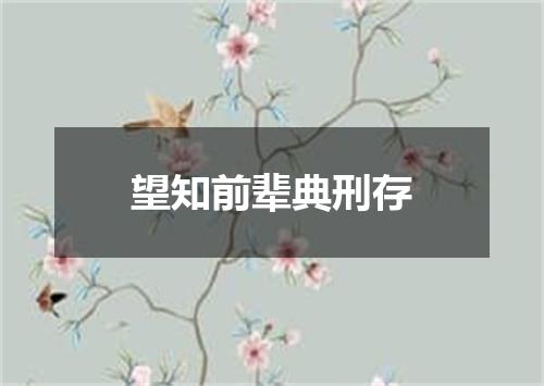 望知前辈典刑存