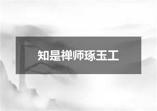 知是禅师琢玉工