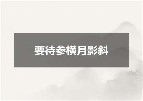 要待参横月影斜