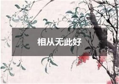 相从无此好