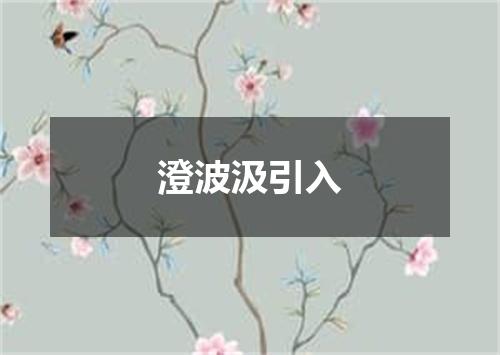 澄波汲引入