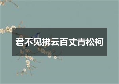 君不见拂云百丈青松柯