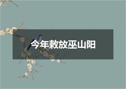 今年敕放巫山阳