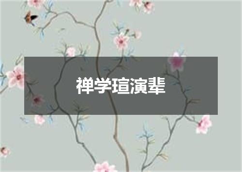 禅学瑄演辈