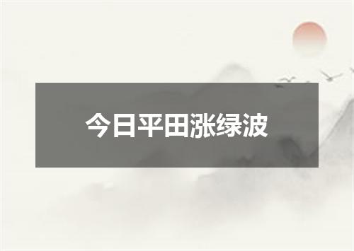 今日平田涨绿波