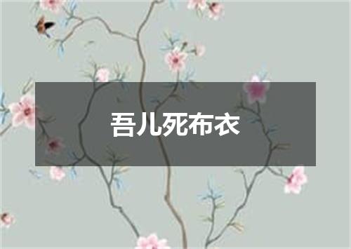 吾儿死布衣