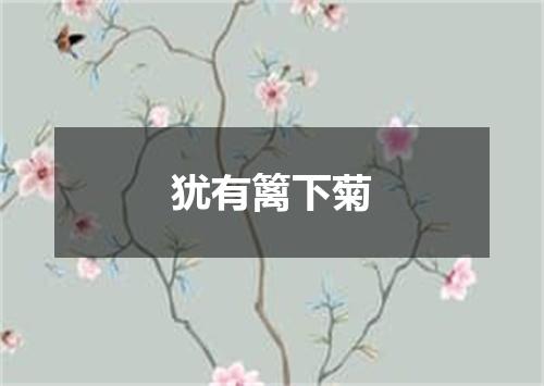 犹有篱下菊