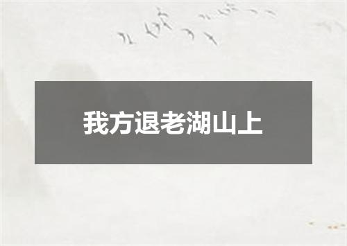 我方退老湖山上