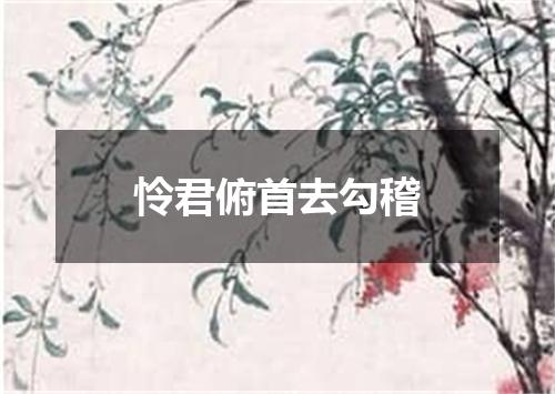 怜君俯首去勾稽