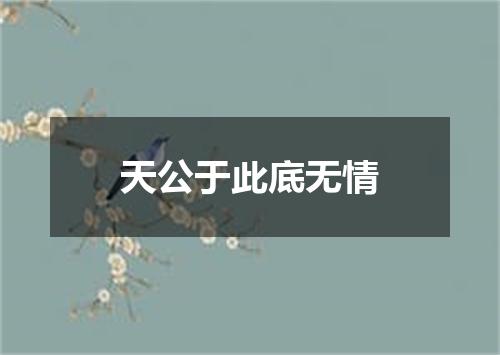 天公于此底无情